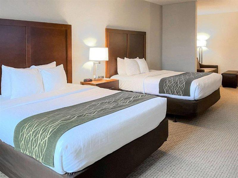 Comfort Inn & Suites Rogersville Dış mekan fotoğraf