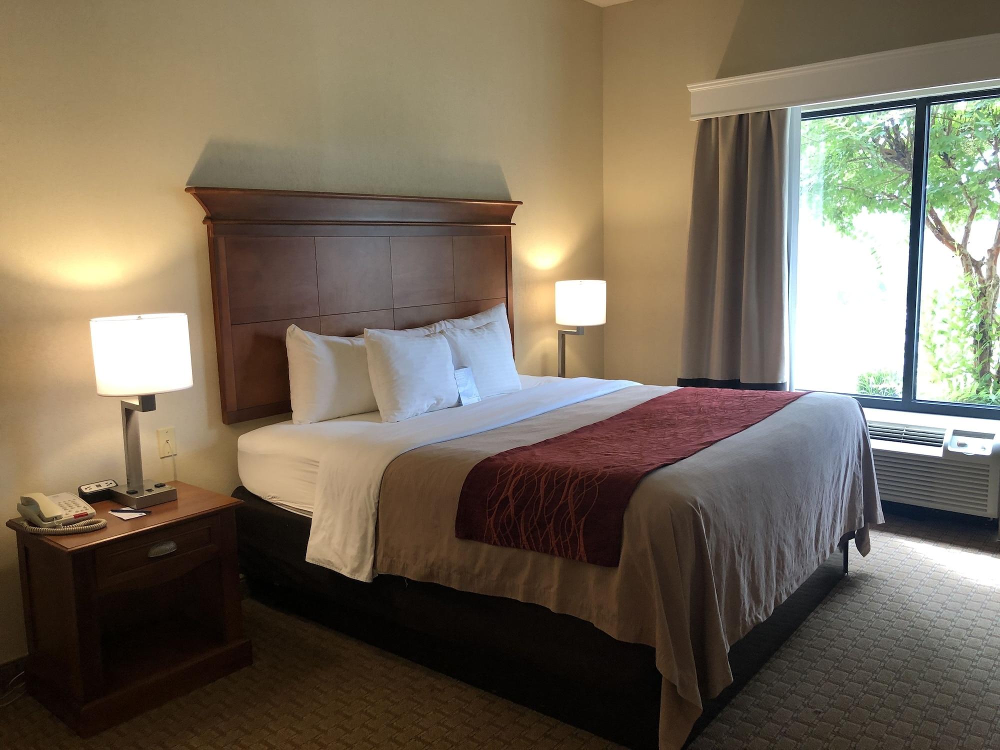 Comfort Inn & Suites Rogersville Dış mekan fotoğraf