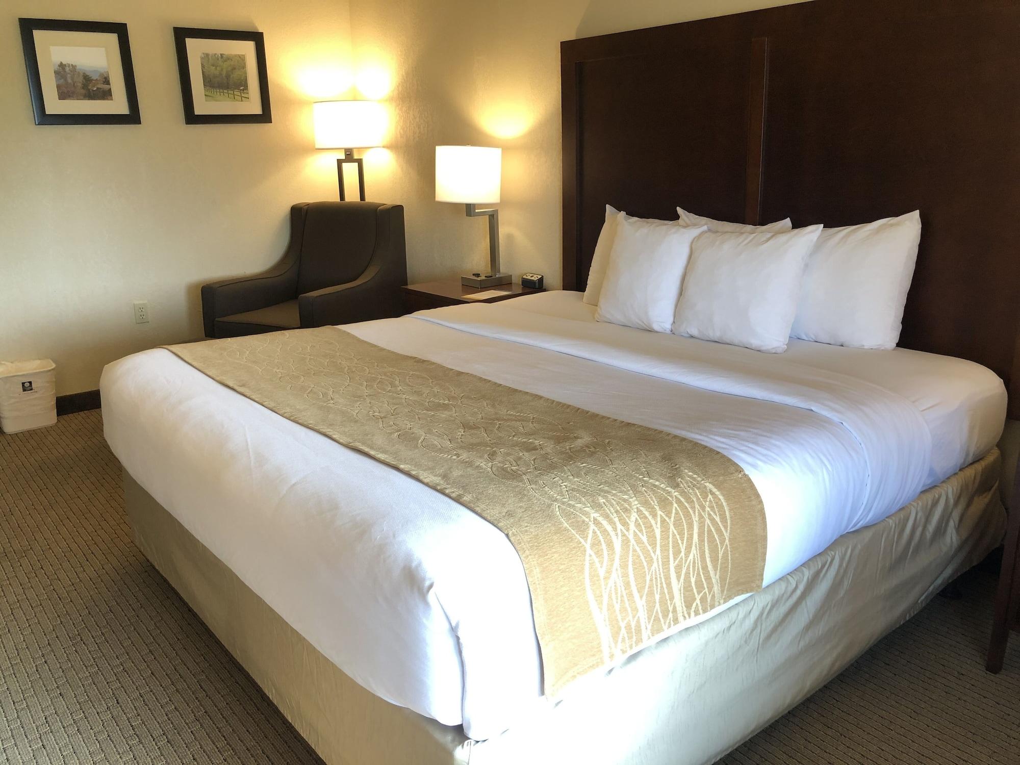 Comfort Inn & Suites Rogersville Dış mekan fotoğraf