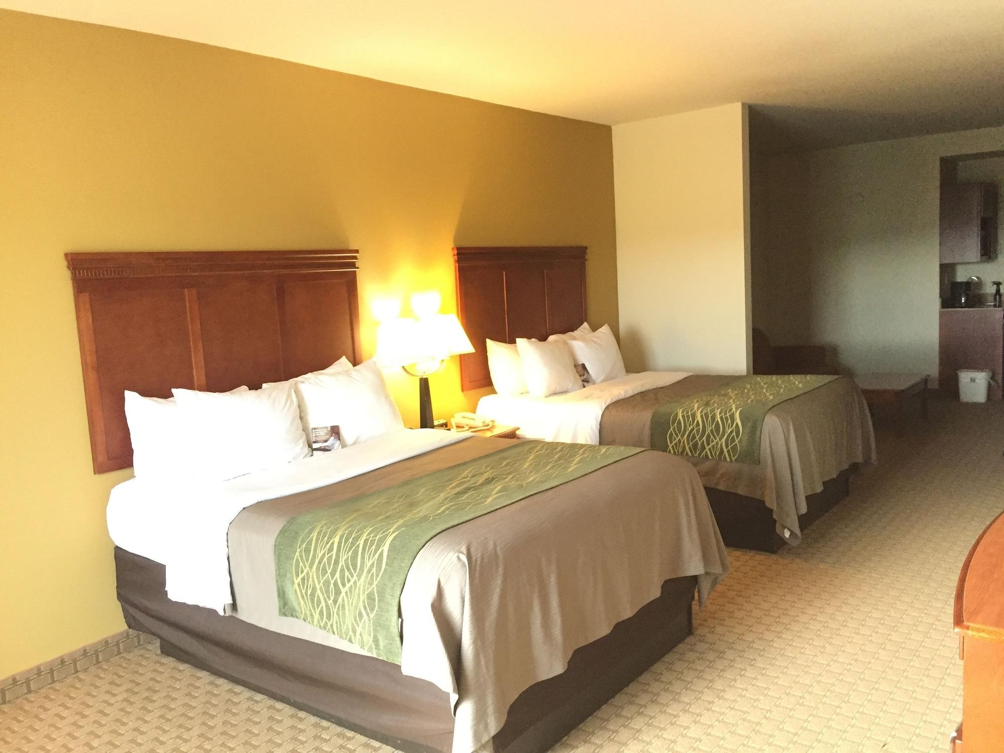 Comfort Inn & Suites Rogersville Dış mekan fotoğraf