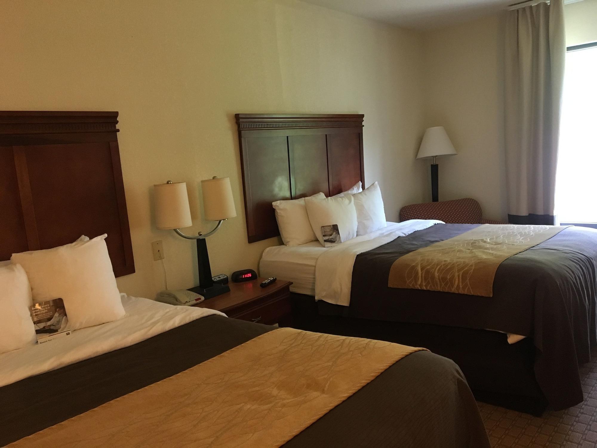 Comfort Inn & Suites Rogersville Dış mekan fotoğraf