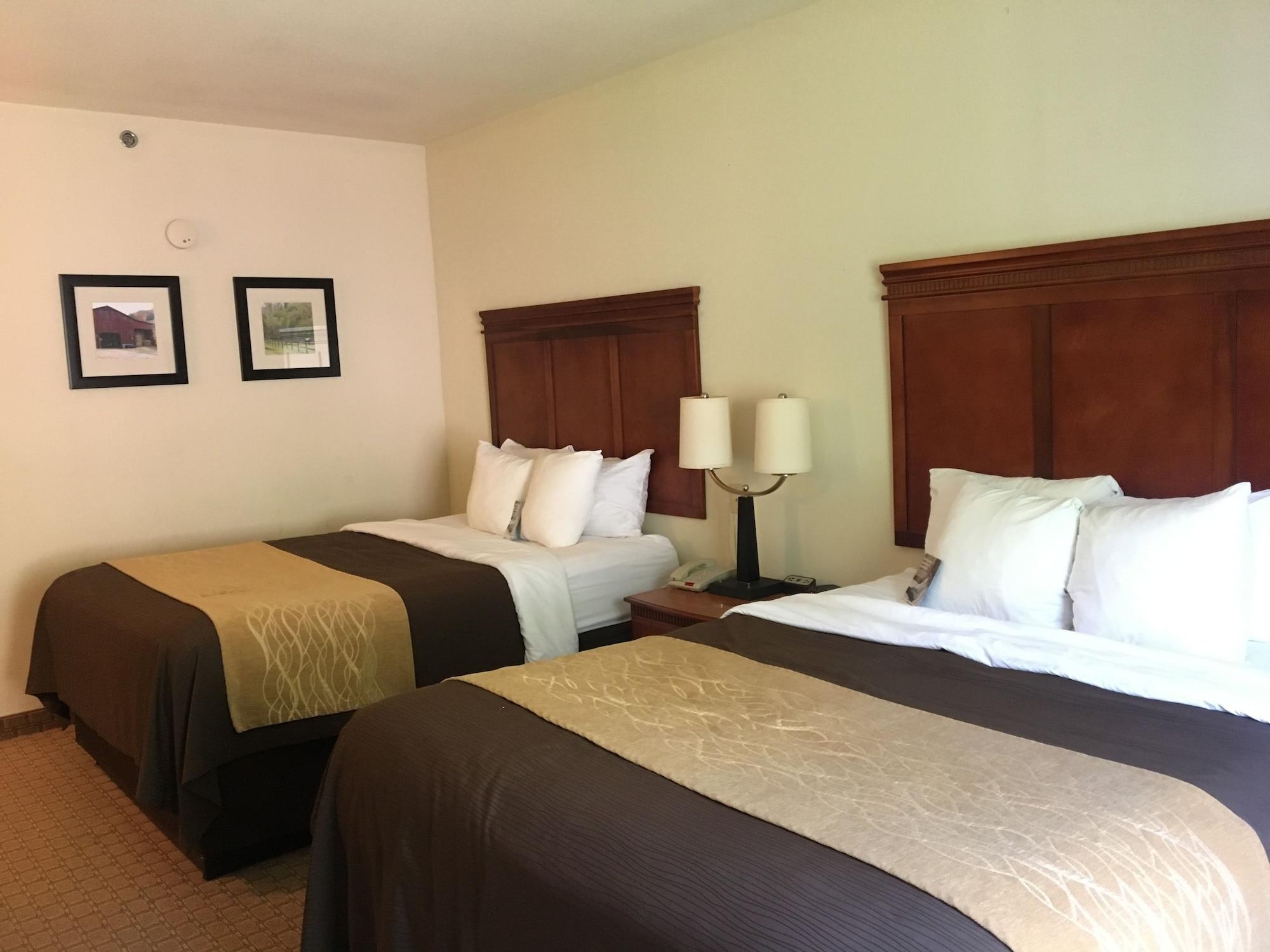 Comfort Inn & Suites Rogersville Dış mekan fotoğraf