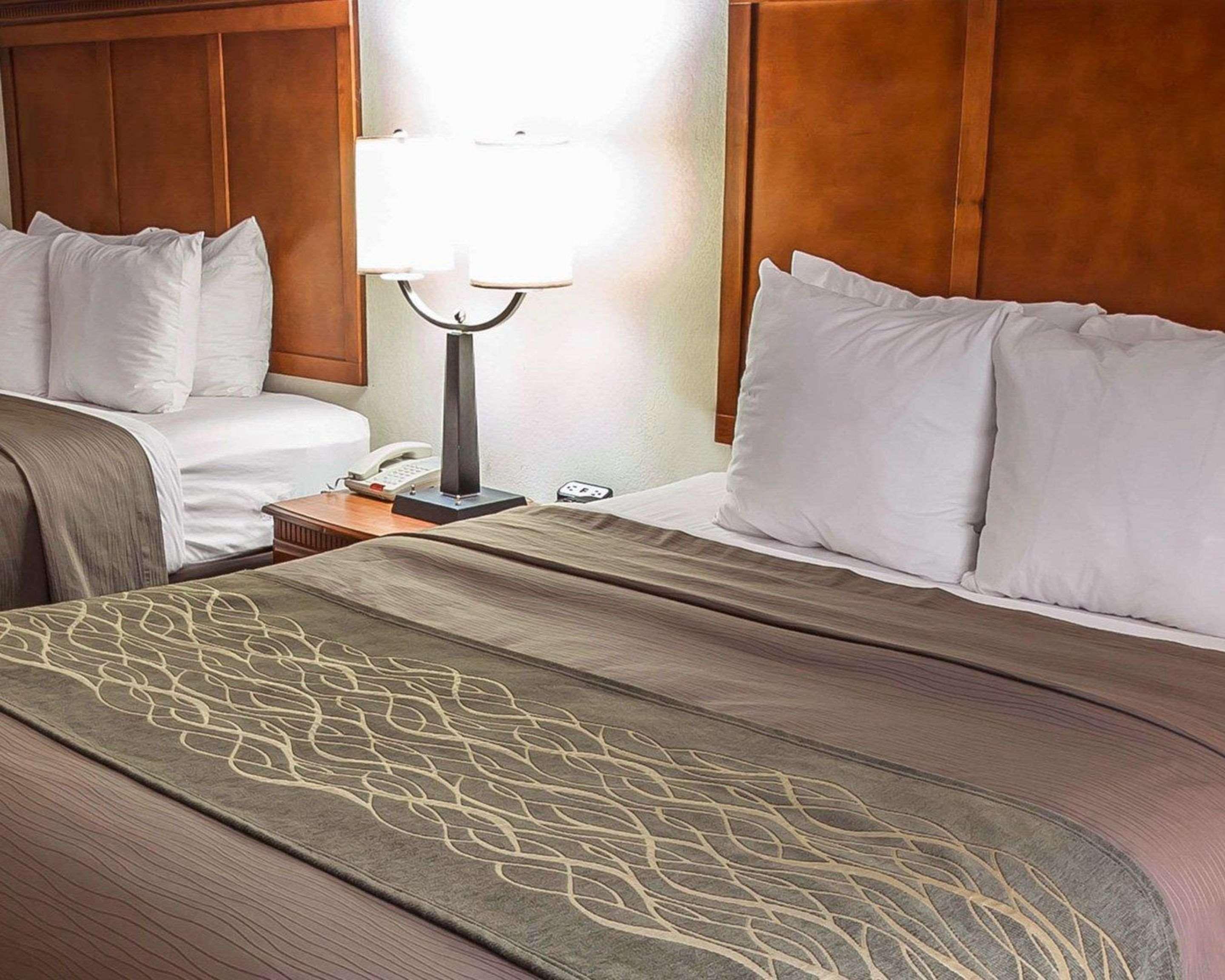 Comfort Inn & Suites Rogersville Dış mekan fotoğraf